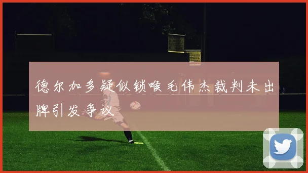 德尔加多疑似锁喉毛伟杰裁判未出牌引发争议