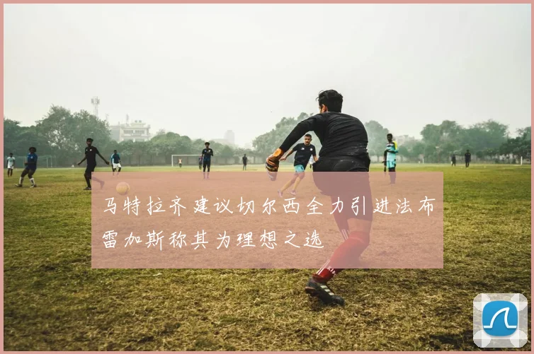 马特拉齐建议切尔西全力引进法布雷加斯称其为理想之选